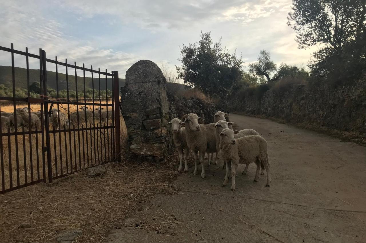 Los Naranjos Eco Home Apartamentos Rurales Casas de Millan Εξωτερικό φωτογραφία